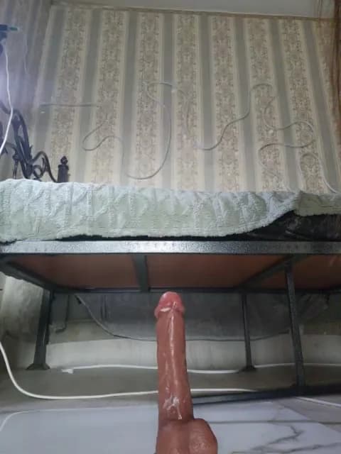 Gentlyplease1 HD Camrip • 54min • 2026-04-05 05:10