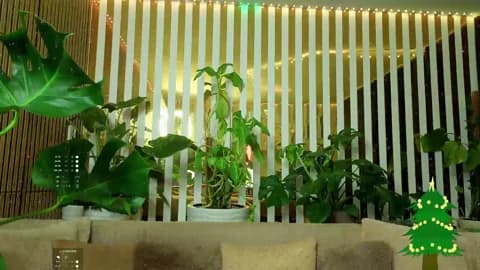 MiaLiaHot HD Camrip • 98min • 2026-01-08 09:11