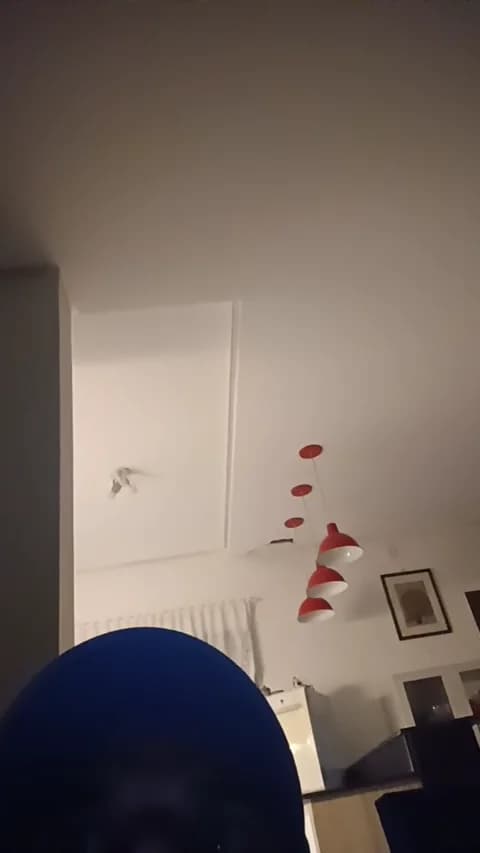 PeludassoBaiano HD Camrip • 32min • 2026-04-18 03:29