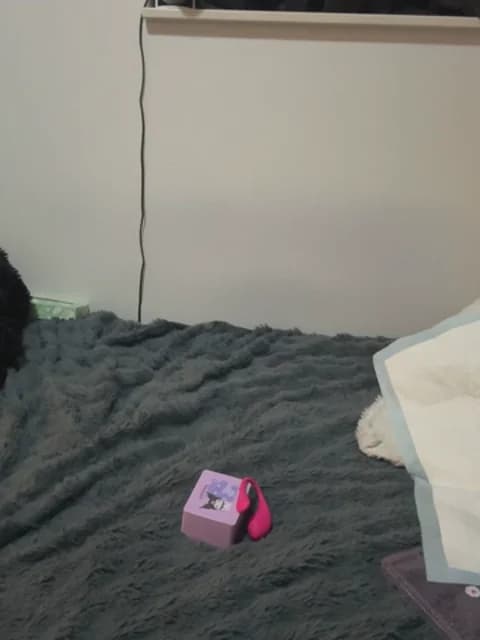 jura_xxx HD Camrip • 31min • 2026-05-07 11:48