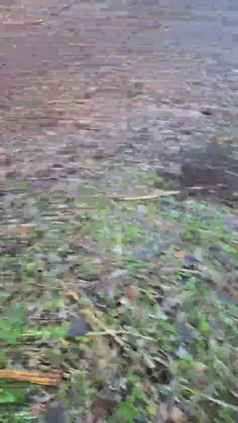 likescock5 HD Camrip • 64min • 2026-01-16 16:36