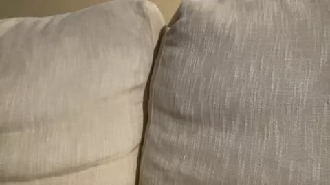 martinabigst HD Camrip • 34min • 2026-01-16 16:16