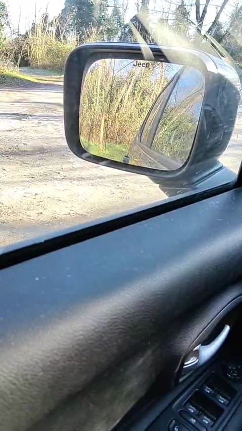 nudo_xxx HD Camrip • 78min • 2026-01-11 11:10