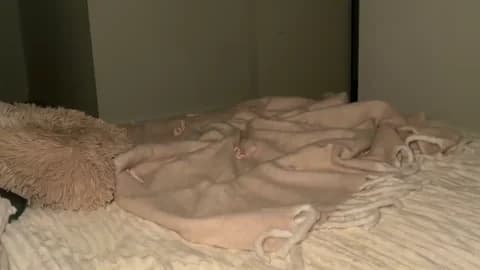 taliavaine HD Camrip • 100min • 2026-01-19 20:56