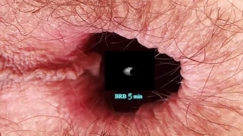 your-red-wine HD Camrip • 120min • 2026-03-26 21:39